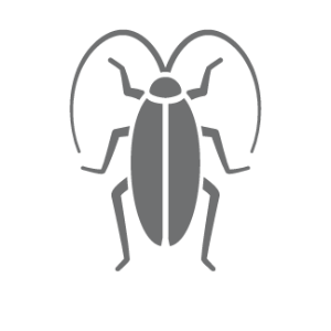 Cockroach icon.