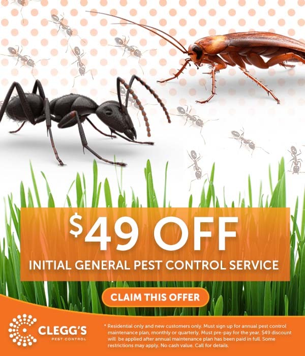 $49 off initial general pest control service.